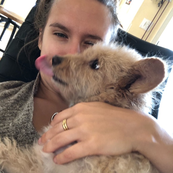 Meet your Posher, Maya - Picture 1 of 1